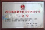 Dongguan Science and Technology Progress Award